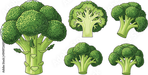 Fresh Green Broccoli Vegetable Vector Illustration Set Featuring Whole Heads and Sliced Florets with Detailed Etching Style for Healthy Food and Nutrition Designs