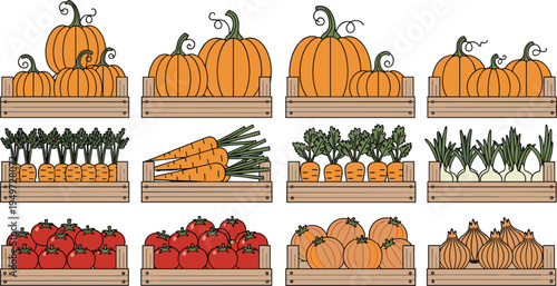 Comprehensive Vector Collection Featuring Wooden Crates Filled with Pumpkins Carrots Tomatoes and Onions for Seasonal Autumn Harvest and Grocery Design Projects
