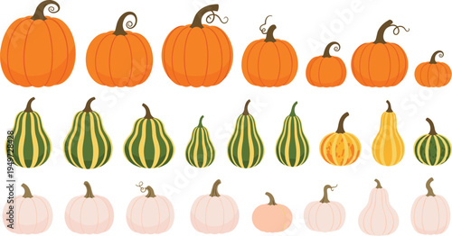Comprehensive Flat Design Vector Collection of Various Pumpkins and Squash Featuring Different Shapes and Colors for Autumn Seasonal Harvest and Thanksgiving Design Projects