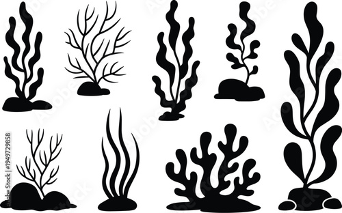Underwater coral reef and seaweed silhouettes vector set, marine ocean plants and aquatic nature elements collection