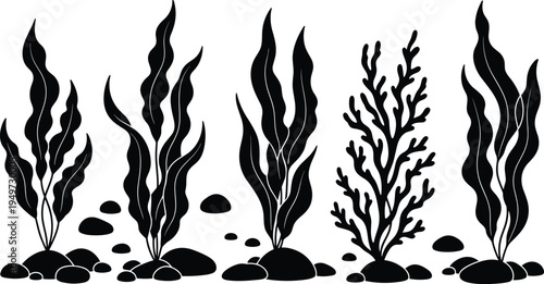 Underwater seaweed and coral reef silhouettes vector border set, marine ocean plants and seabed aquatic elements