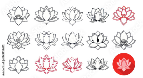 Lotus Flower Collection - Hand Drawn Vector Illustrations