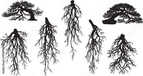 Black Solid Cascade Bonsai Tree Silhouettes Set of Six on White Background