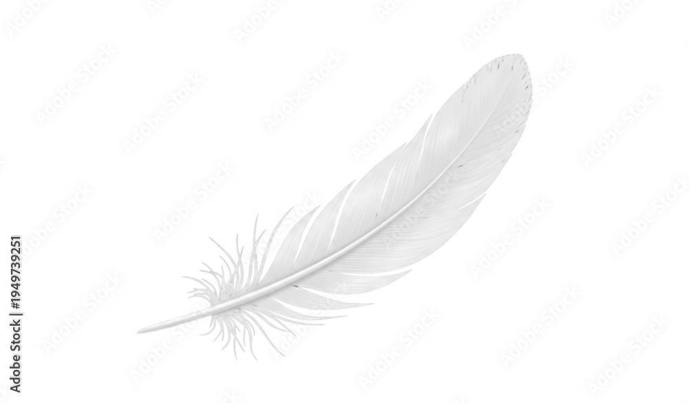 Obraz premium A delicate white feather on a plain background