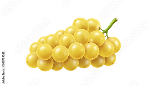 A bunch of yellow grapes on a green stem
