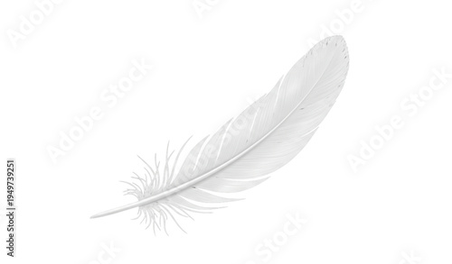 A delicate white feather on a plain background