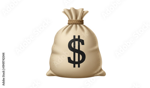 A vector graphic illustration of a money bag with a dollar sign