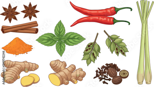 Collection of colorful aromatic spices and herbs including chili peppers, turmeric powder, ginger roots, cinnamon sticks, cardamom pods, basil leaves, lemongrass and star anise