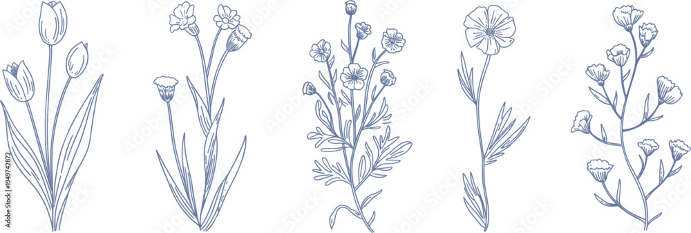 Fototapeta premium Hand drawn wild flower collection, floral line art set, botanical spring blossoms, minimalist garden vector illustration