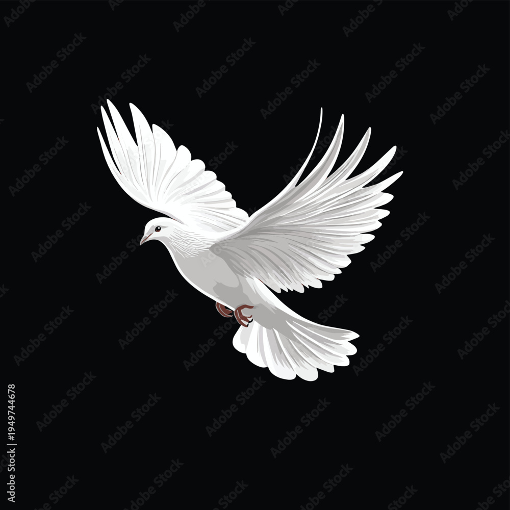 Fototapeta premium A flying white dove against a pure black background , vector style simple color
