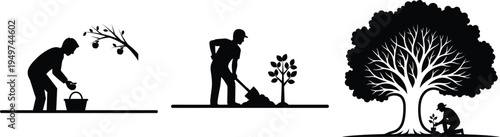 Silhouette T-Shirt Design of Gardening and Tree Planting Stages, Minimalist Apparel Graphic