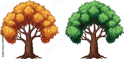 Seasonal tree illustration set showing lush green summer foliage and vibrant orange autumn leaves, detailed nature design elements isolated on light background for landscape themes
