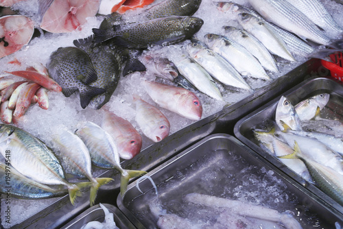 Many different fishes at market. Seafood concept.	