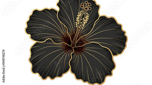Elegant Black Gold Hibiscus Flower Graphic Design Element for Luxury Branding & Decor