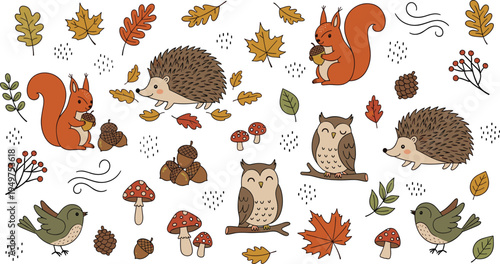 Cute autumn forest animals illustration set with squirrel hedgehog owl bird mushrooms leaves woodland nature collection