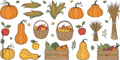 Autumn harvest illustration set with pumpkins corn apples wheat basket vegetables and fall farming collection