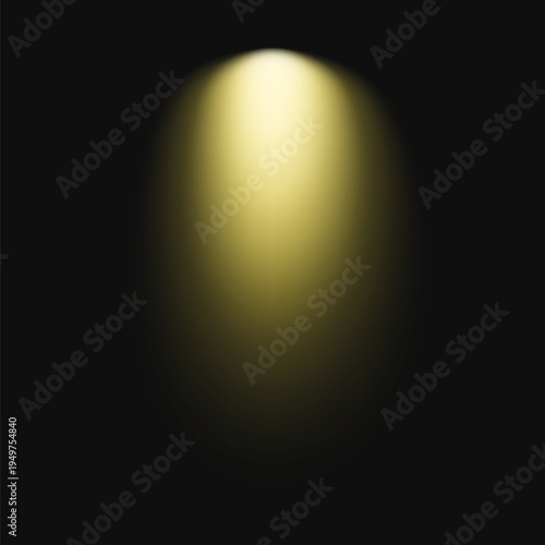 Golden spotlight on dark stage vector