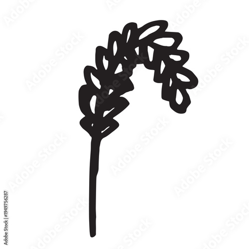 Hand drawn cereal wheat oat rye barley rice ears spikelet clipart Organic wheat bread agriculture farming harvest healthy food Single element for print packaging label design decor