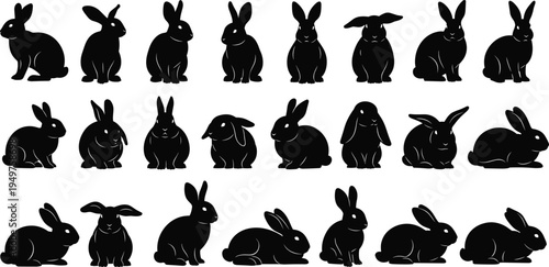 rabbit silhouette set, bunny animal poses collection vector illustration, cute hare silhouettes isolated wildlife and pet bunny bundle