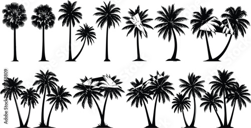 palm tree silhouette set, tropical coconut palm collection vector illustration, beach island trees isolated nature landscape bundle
