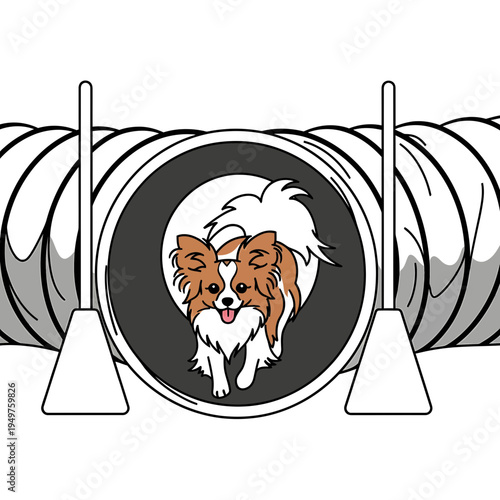 Dog Agility Cartoon Papillon Through Tunnel vector illustration