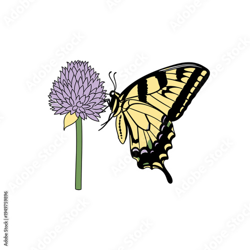 Swallowtail Butterfly and Purple Flower vector illustration