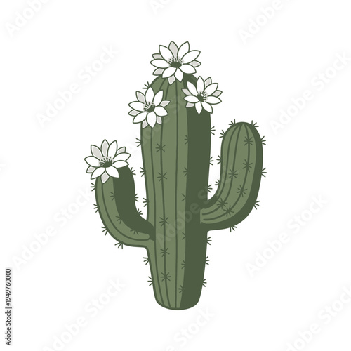 Blooming Saguaro Cactus Vector Graphic vector illustration