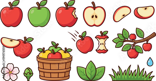 Apple Fruit Collection with Leaves Blossoms Basket Slices Vector Illustration