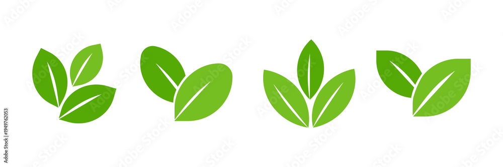 Obraz premium Green leaf vector icons collection