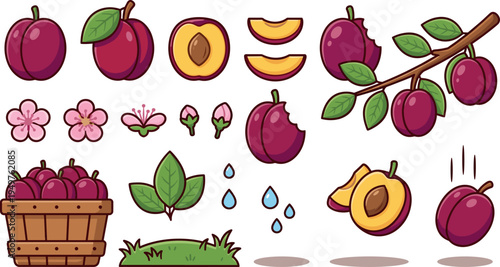 Red Plum Fruit Collection with Leaves Blossoms Basket Vector Illustration