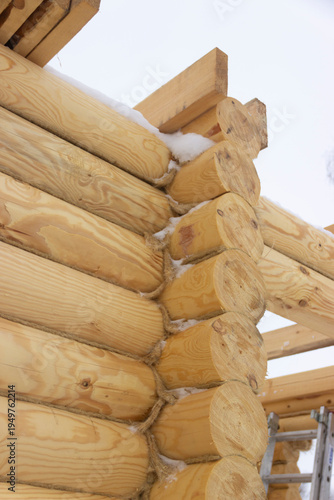Calibrated log, log walls, pine log, fresh wood