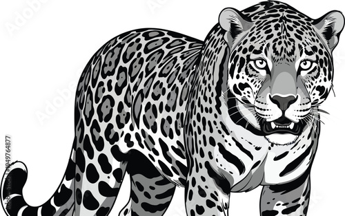 Black and white jaguar vector illustration