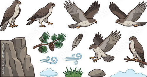 Cute Cartoon Hawk Character Set with Wings Feathers Rock Vector Illustration