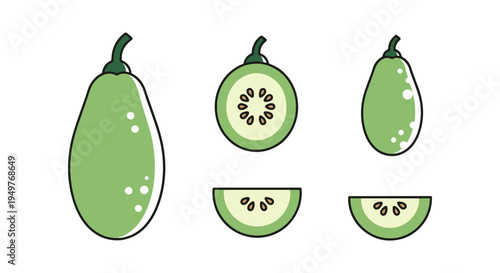 Ash Gourd Line art vector set modern fluid abstract
