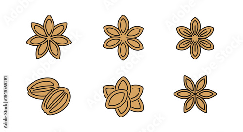 Anise Seeds Line art vector minimal abstract vibrant color illustration