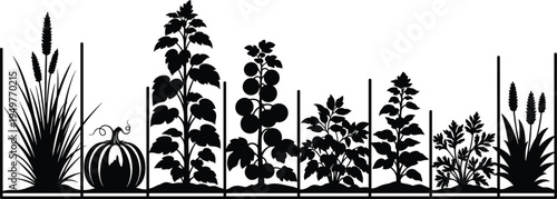 Vegetable garden plants silhouette collection with pumpkin, tomato and leafy crops, organic farming concept, backyard gardening vector illustration