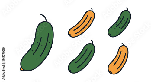 Armenian Cucumber Line art modern minimal abstract vector
