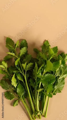 Wallpaper Mural Fresh herbs and aromatic ingredients close up Torontodigital.ca