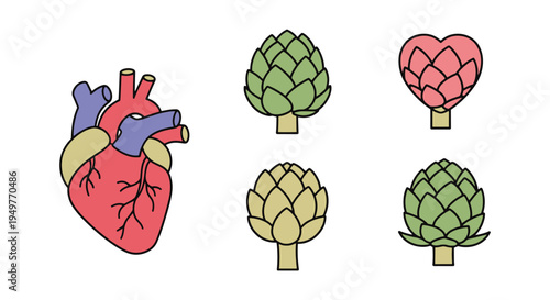 Artichoke Hearts Line art soft elegant abstract illustration