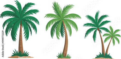 Tropical palm tree collection featuring various green coconut palms with fronds and grass on sandy base isolated on white background vector illustration set