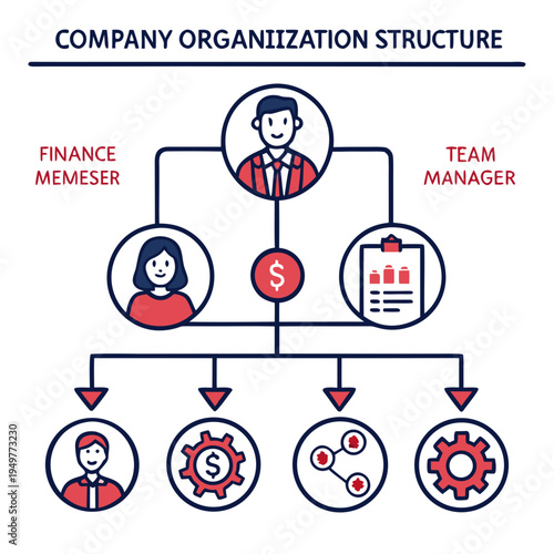 Company organization structure with finance and team