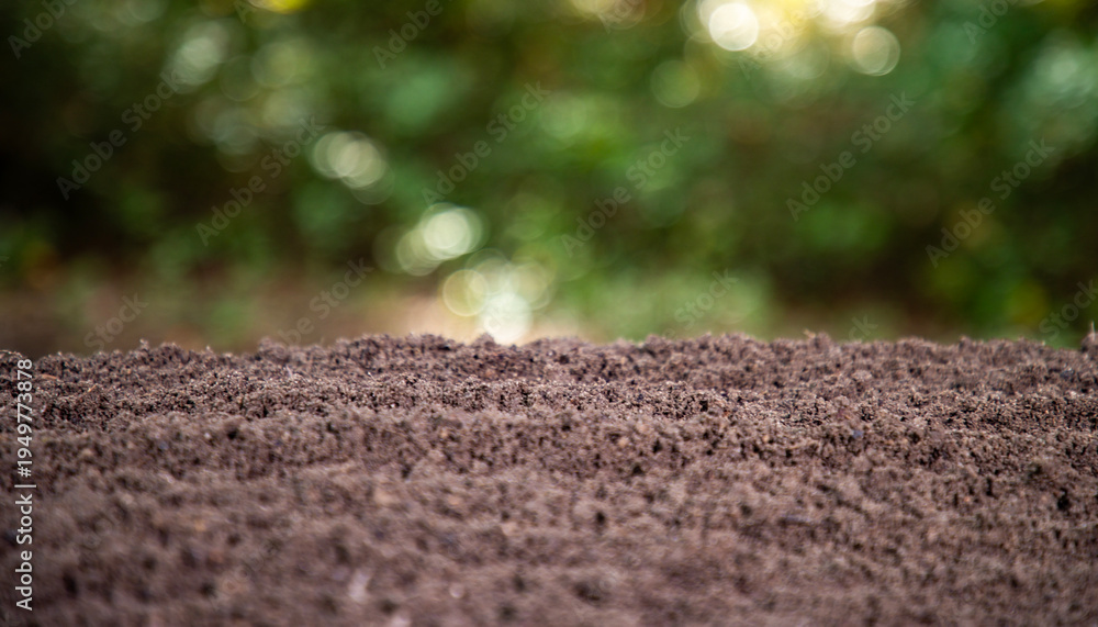 Fototapeta premium Humus and earth ground. Farming concept with soil and farm ground. Agricultural field cultivated land. Soil for planting and farming.