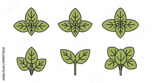 Basil Microgreens Line art clean vivid abstract color illustration