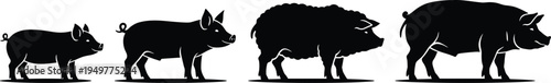 Pig silhouette collection, farm pig and wild boar animal shapes, livestock farming icons, black vector illustration isolated set