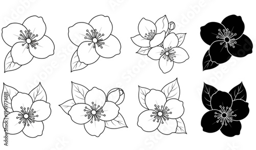 A set of eight flower illustrations in black and white line art
