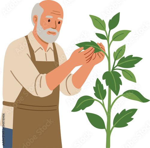 An elderly man examines a leaf on a plant in his garden.