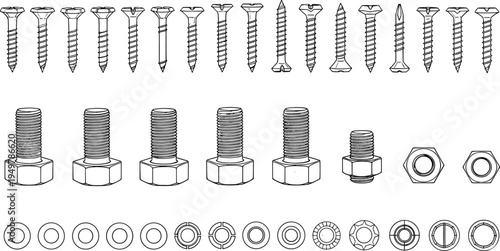 Comprehensive Fastener Hardware Collection Featuring Various Wood Screws Metal Bolts Hex Nuts and Circular Washers in Hand Drawn Detailed Black Line Art Illustration Style