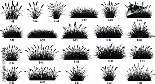 Grass and reed silhouette collection, wild meadow plants set, cattail and field herbs, nature landscape elements, botanical vector illustration, isolated