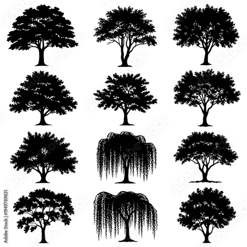 A collection of various tree silhouettes.