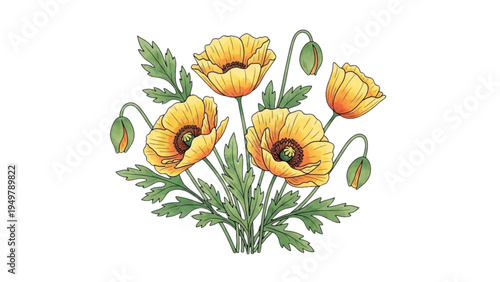 Vibrant yellow poppies bloom with green leaves and stems outdoors naturally